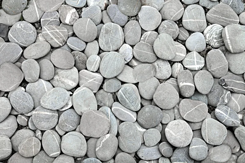 Beach covered with round flat white stones
